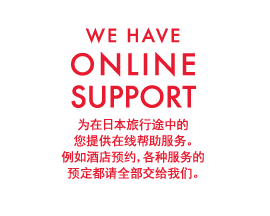 WE HAVE ONLINE SUPPORT