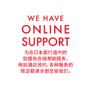WE HAVE ONLINE SUPPORT