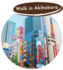Walk in Akihabara