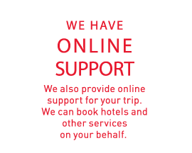 WE HAVE ONLINE SUPPORT